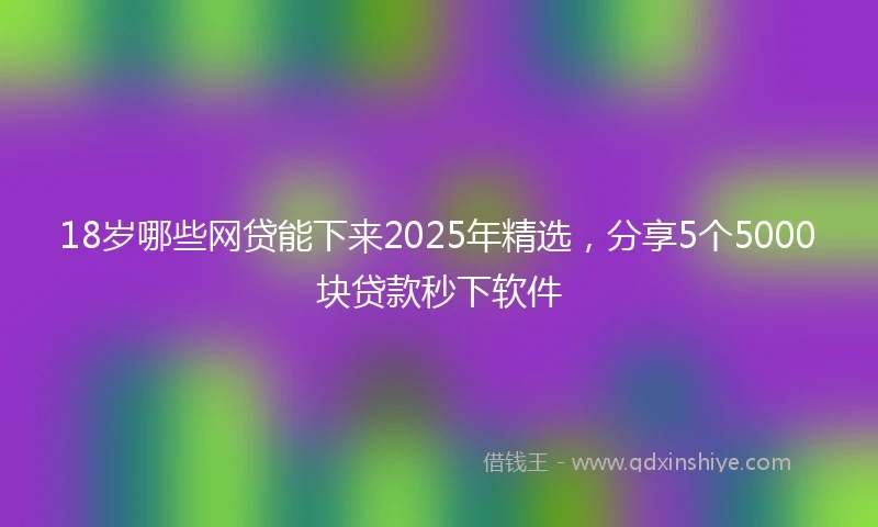 18岁哪些网贷能下来2025年精选，分享5个5000块贷款秒下软件