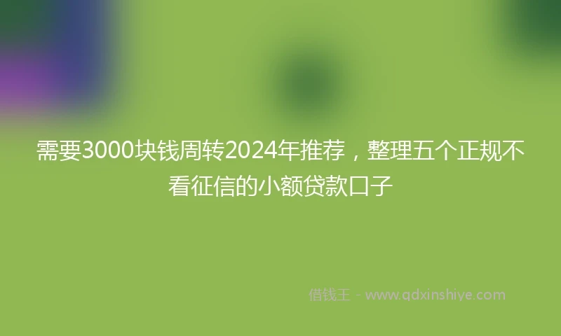 需要3000块钱周转2024年推荐，整理五个正规不看征信的小额贷款口子