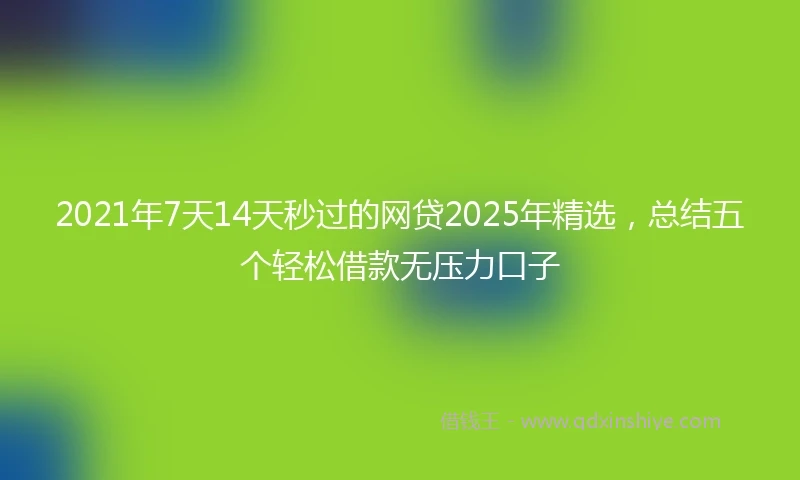 2021年7天14天秒过的网贷2025年精选，总结五个轻松借款无压力口子