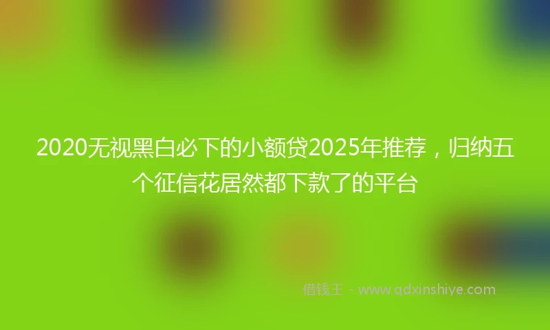 2020无视黑白必下的小额贷2025年推荐，归纳五个征信花居然都下款了的平台