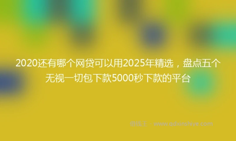 2020还有哪个网贷可以用2025年精选，盘点五个无视一切包下款5000秒下款的平台