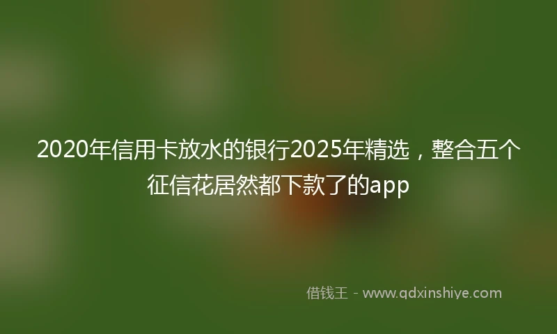 2020年信用卡放水的银行2025年精选，整合五个征信花居然都下款了的app