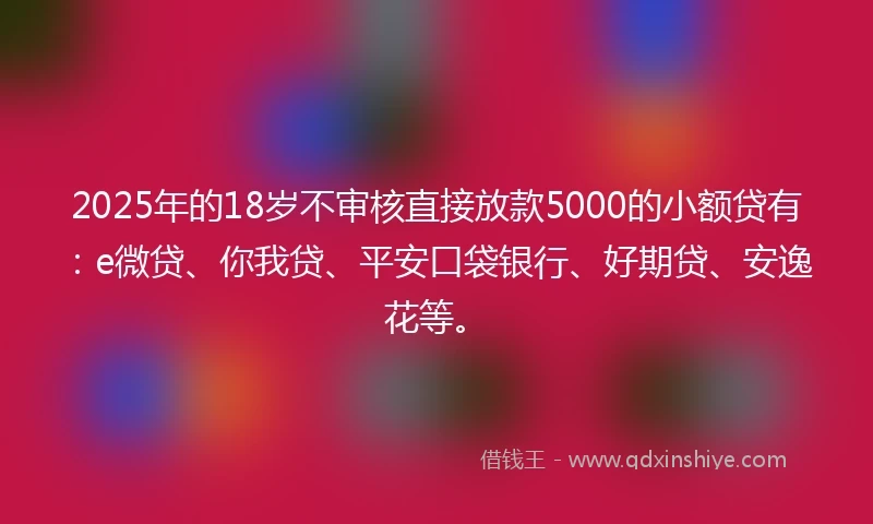 2025年的18岁不审核直接放款5000的小额贷有：e微贷、你我贷、平安口袋银行、好期贷、安逸花等。