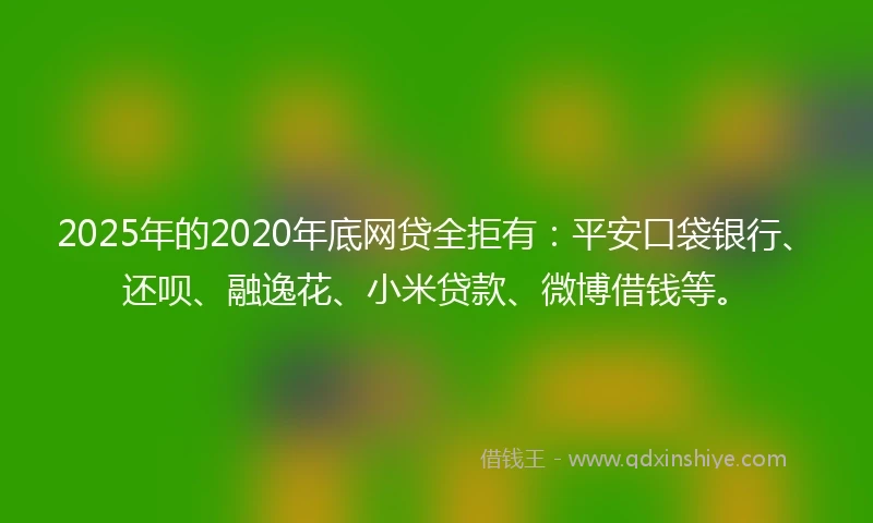 2025年的2020年底网贷全拒有：平安口袋银行、还呗、融逸花、小米贷款、微博借钱等。
