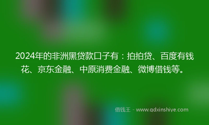 2024年的非洲黑贷款口子有：拍拍贷、百度有钱花、京东金融、中原消费金融、微博借钱等。