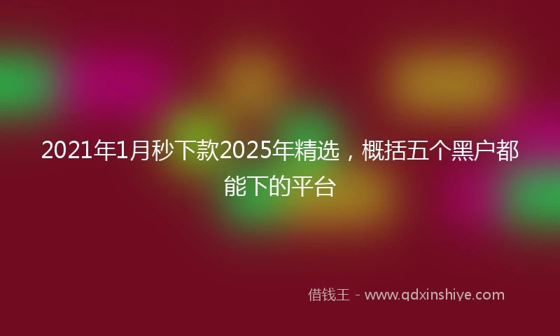 2021年1月秒下款2025年精选，概括五个黑户都能下的平台