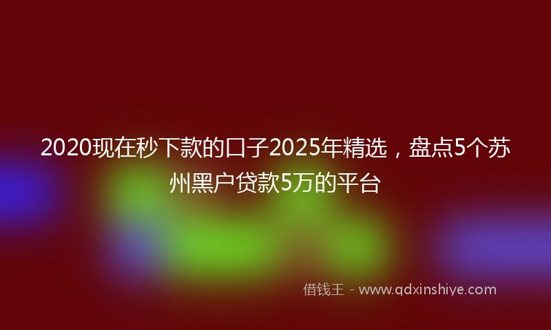 2020现在秒下款的口子2025年精选，盘点5个苏州黑户贷款5万的平台