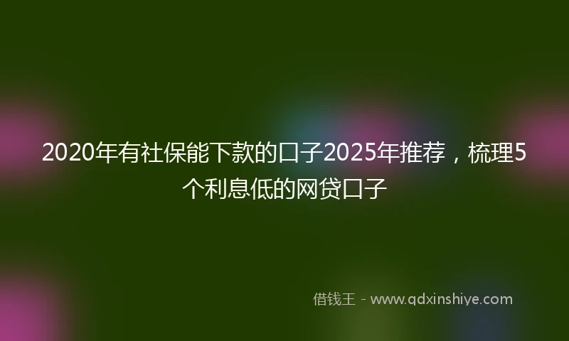 2020年有社保能下款的口子2025年推荐，梳理5个利息低的网贷口子