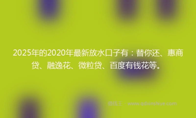 2025年的2020年最新放水口子有：替你还、惠商贷、融逸花、微粒贷、百度有钱花等。