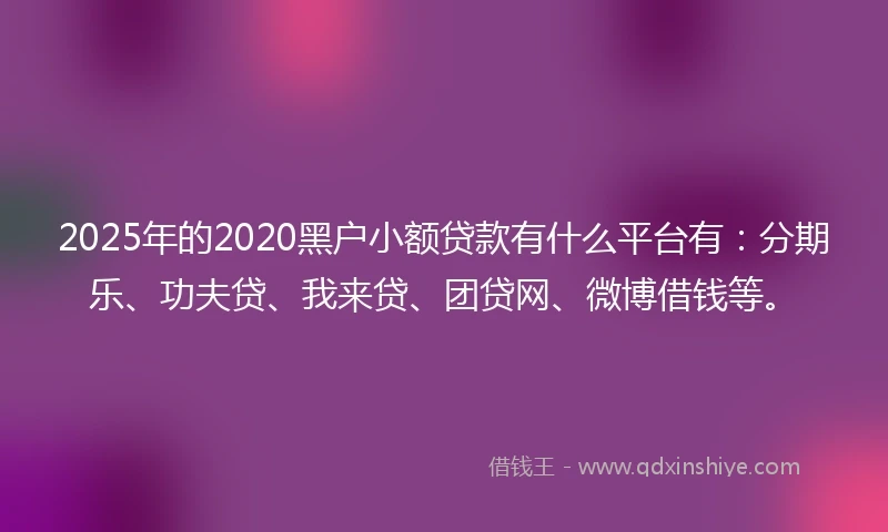2025年的2020黑户小额贷款有什么平台有：分期乐、功夫贷、我来贷、团贷网、微博借钱等。