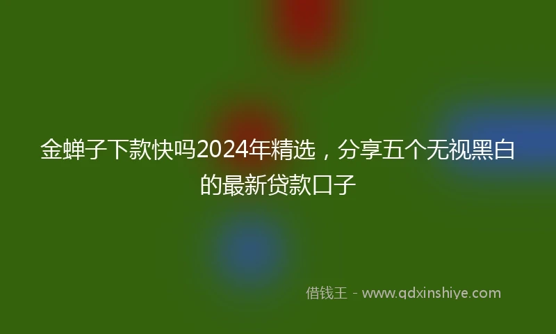 金蝉子下款快吗2024年精选，分享五个无视黑白的最新贷款口子
