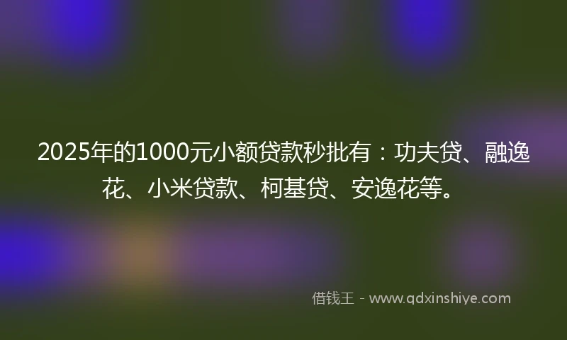 2025年的1000元小额贷款秒批有：功夫贷、融逸花、小米贷款、柯基贷、安逸花等。