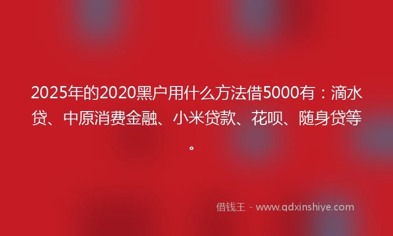 2025年的2020黑户用什么方法借5000有：滴水贷、中原消费金融、小米贷款、花呗、随身贷等。