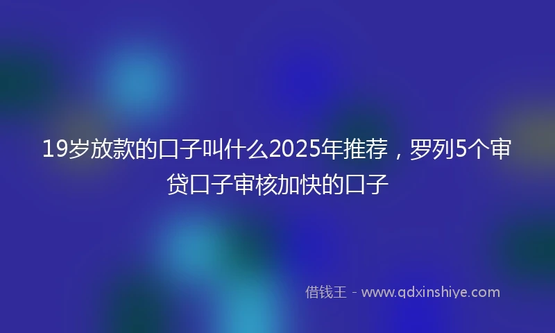 19岁放款的口子叫什么2025年推荐，罗列5个审贷口子审核加快的口子