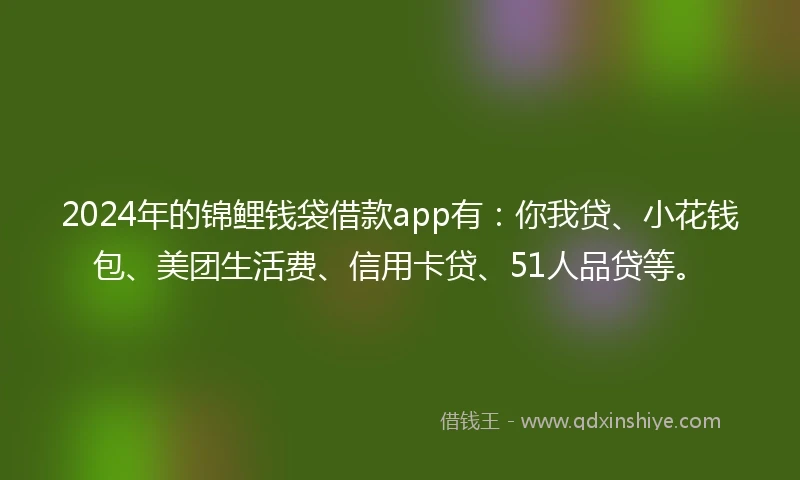 2024年的锦鲤钱袋借款app有：你我贷、小花钱包、美团生活费、信用卡贷、51人品贷等。