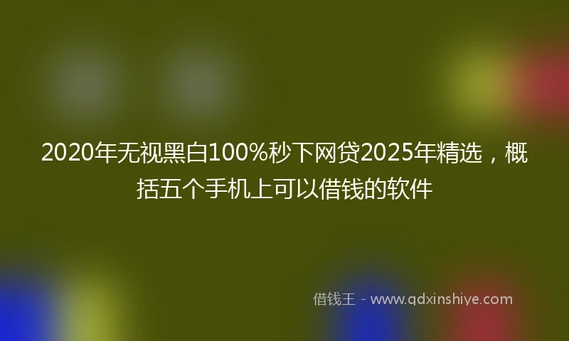 2020年无视黑白100%秒下网贷2025年精选，概括五个手机上可以借钱的软件