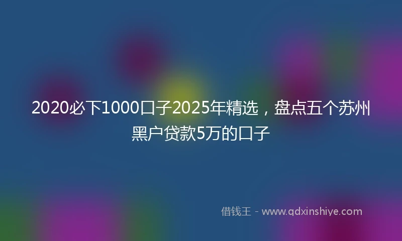 2020必下1000口子2025年精选，盘点五个苏州黑户贷款5万的口子