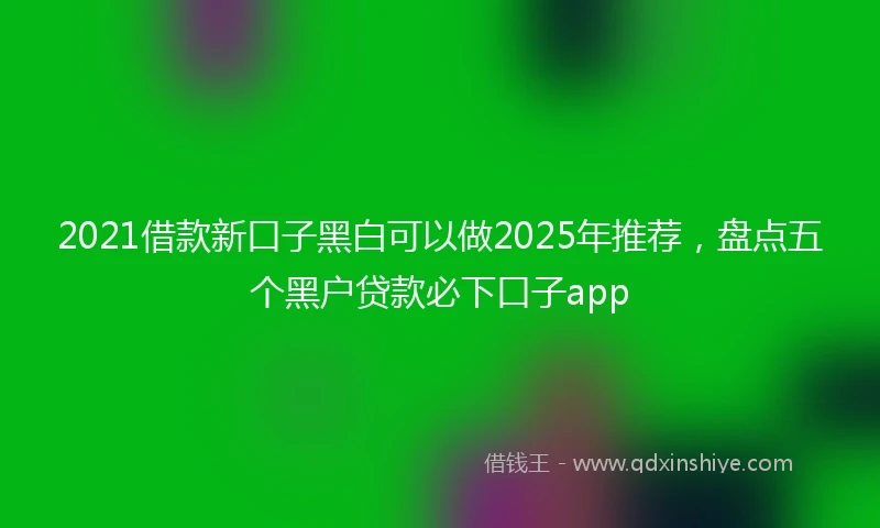 2021借款新口子黑白可以做2025年推荐，盘点五个黑户贷款必下口子app