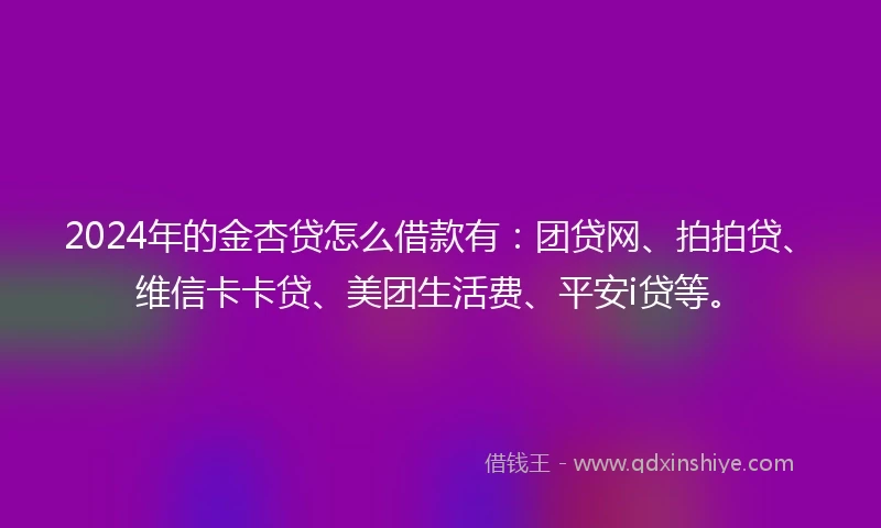 2024年的金杏贷怎么借款有：团贷网、拍拍贷、维信卡卡贷、美团生活费、平安i贷等。