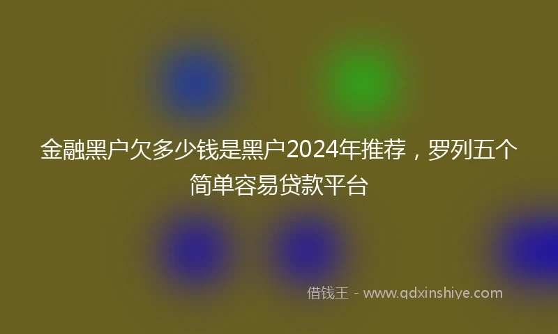 金融黑户欠多少钱是黑户2024年推荐，罗列五个简单容易贷款平台