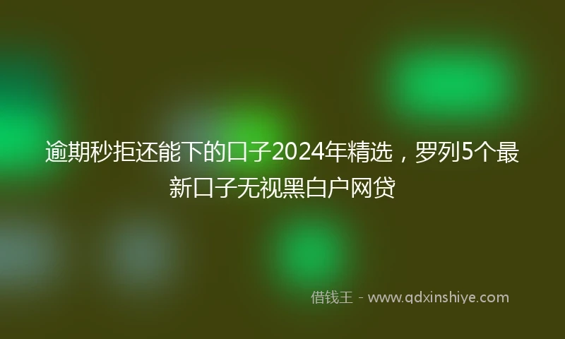 逾期秒拒还能下的口子2024年精选，罗列5个最新口子无视黑白户网贷