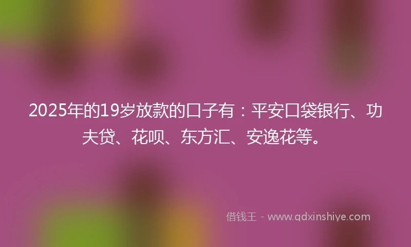 2025年的19岁放款的口子有：平安口袋银行、功夫贷、花呗、东方汇、安逸花等。