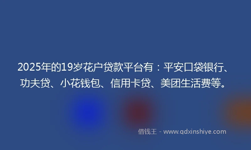 2025年的19岁花户贷款平台有：平安口袋银行、功夫贷、小花钱包、信用卡贷、美团生活费等。
