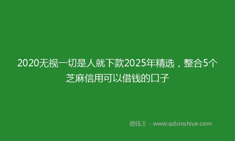 2020无视一切是人就下款2025年精选，整合5个芝麻信用可以借钱的口子
