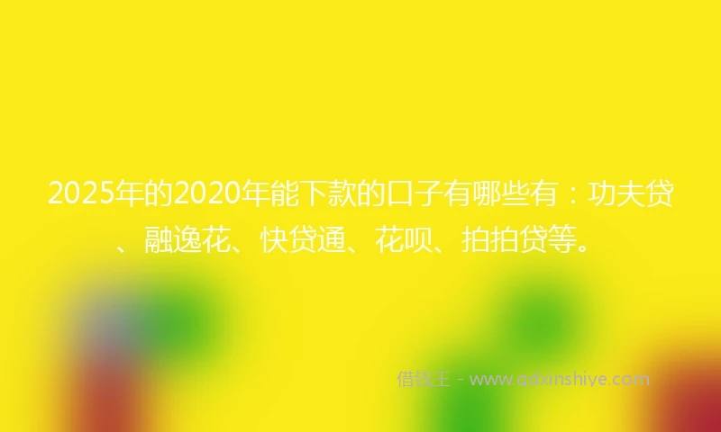 2025年的2020年能下款的口子有哪些有：功夫贷、融逸花、快贷通、花呗、拍拍贷等。