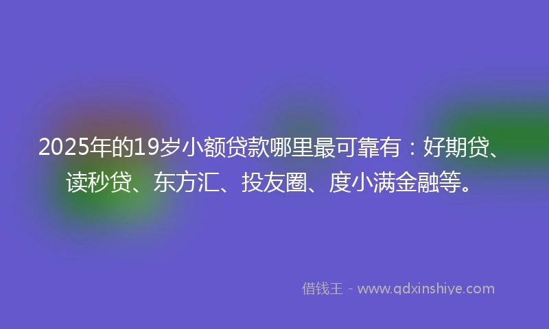 2025年的19岁小额贷款哪里最可靠有：好期贷、读秒贷、东方汇、投友圈、度小满金融等。