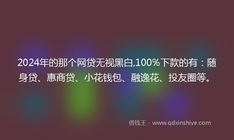 2024年的那个网贷无视黑白,100%下款的有：随身贷、惠商贷、小花钱包、融逸花、投友圈等。