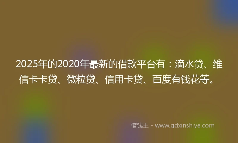 2025年的2020年最新的借款平台有：滴水贷、维信卡卡贷、微粒贷、信用卡贷、百度有钱花等。