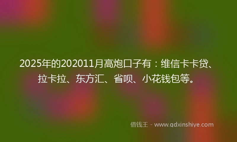 2025年的202011月高炮口子有：维信卡卡贷、拉卡拉、东方汇、省呗、小花钱包等。
