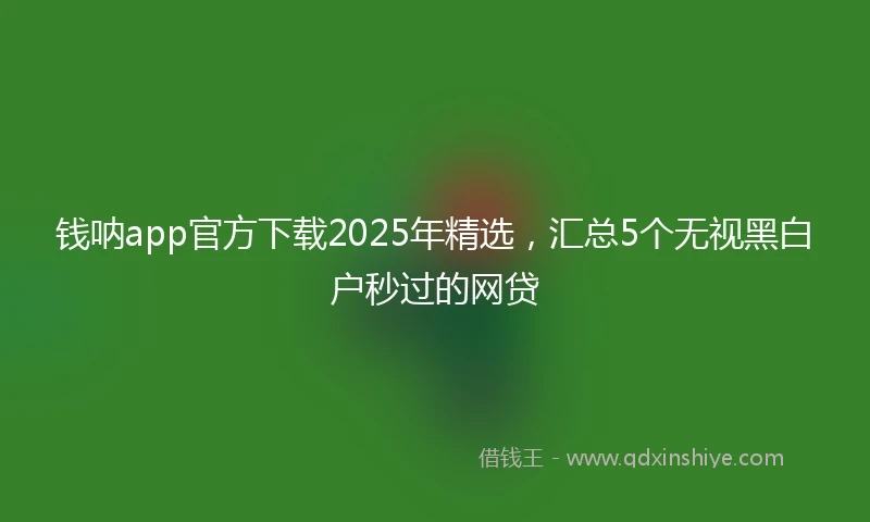 钱呐app官方下载2025年精选，汇总5个无视黑白户秒过的网贷