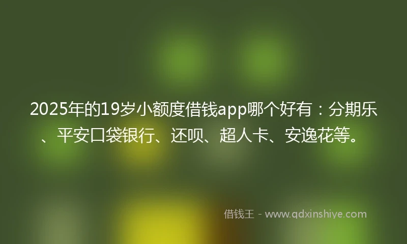 2025年的19岁小额度借钱app哪个好有：分期乐、平安口袋银行、还呗、超人卡、安逸花等。