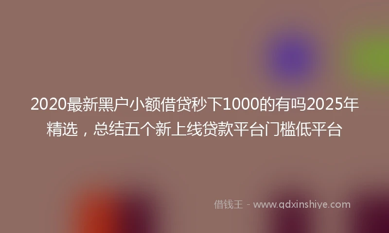 2020最新黑户小额借贷秒下1000的有吗2025年精选，总结五个新上线贷款平台门槛低平台