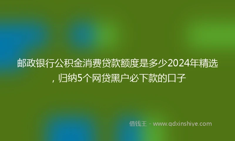 邮政银行公积金消费贷款额度是多少2024年精选，归纳5个网贷黑户必下款的口子