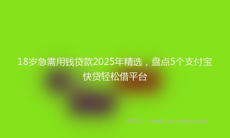 18岁急需用钱贷款2025年精选，盘点5个支付宝快贷轻松借平台