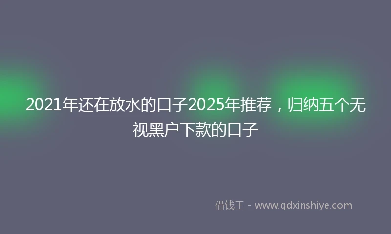 2021年还在放水的口子2025年推荐，归纳五个无视黑户下款的口子
