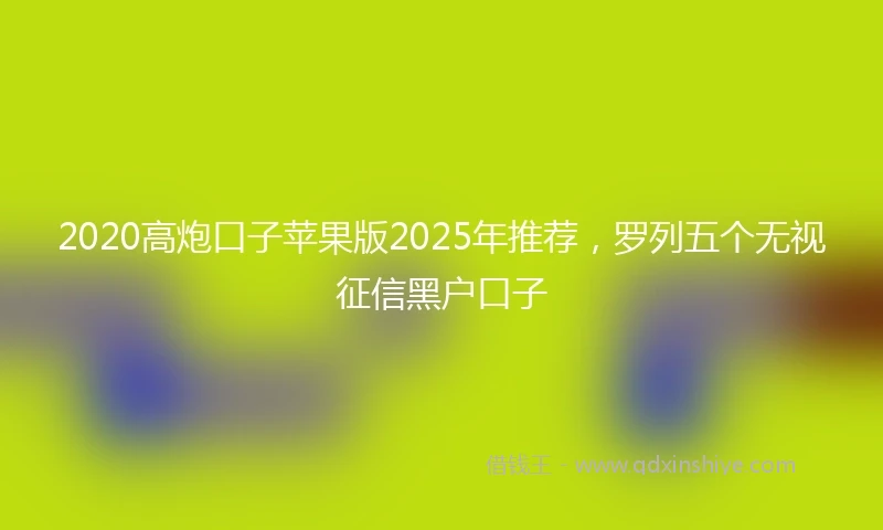 2020高炮口子苹果版2025年推荐，罗列五个无视征信黑户口子