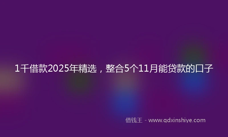 1千借款2025年精选，整合5个11月能贷款的口子