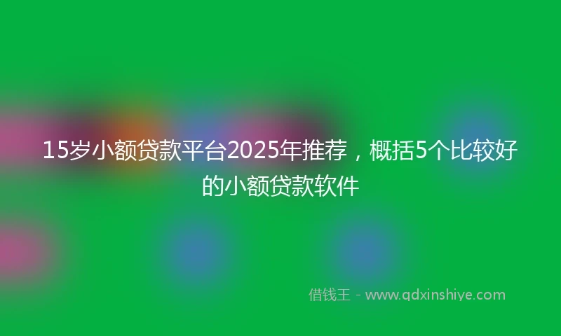15岁小额贷款平台2025年推荐，概括5个比较好的小额贷款软件