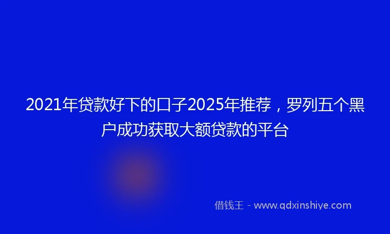 2021年贷款好下的口子2025年推荐，罗列五个黑户成功获取大额贷款的平台