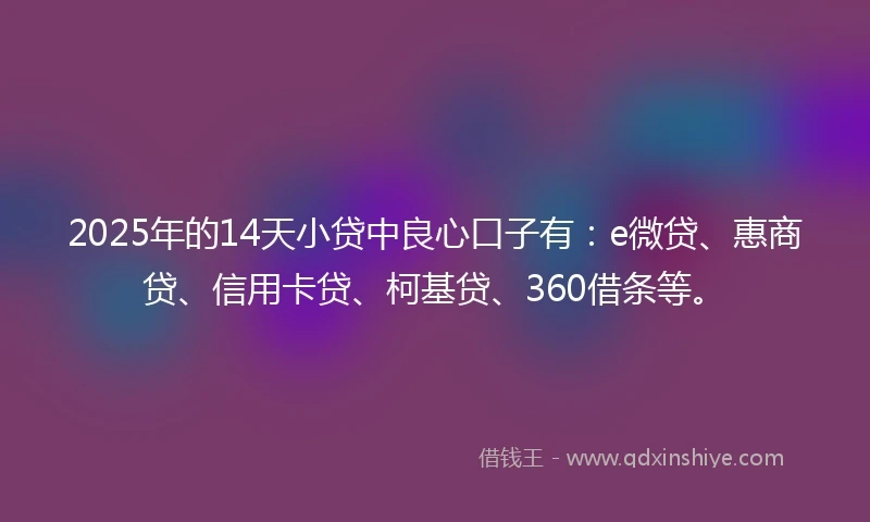 2025年的14天小贷中良心口子有：e微贷、惠商贷、信用卡贷、柯基贷、360借条等。