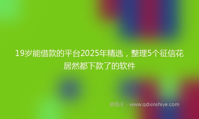 19岁能借款的平台2025年精选，整理5个征信花居然都下款了的软件