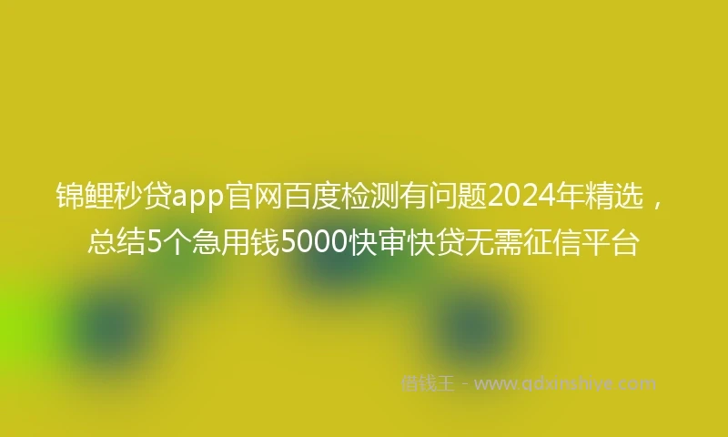 锦鲤秒贷app官网百度检测有问题2024年精选，总结5个急用钱5000快审快贷无需征信平台