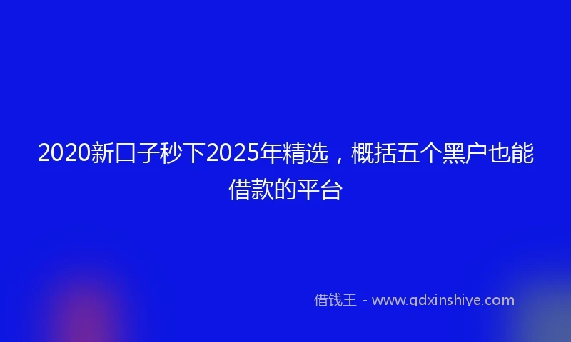 2020新口子秒下2025年精选，概括五个黑户也能借款的平台
