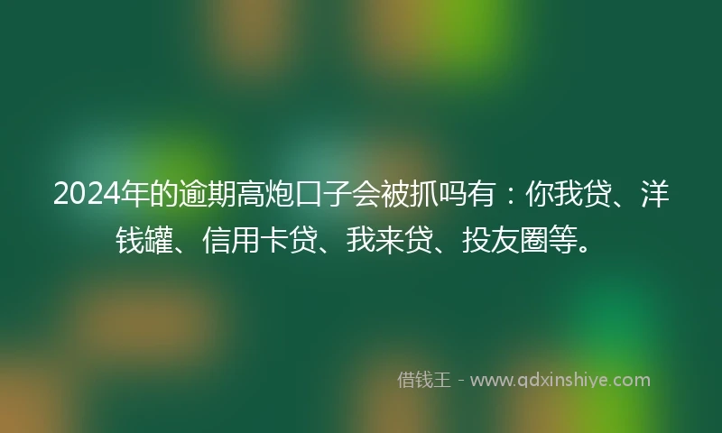 2024年的逾期高炮口子会被抓吗有：你我贷、洋钱罐、信用卡贷、我来贷、投友圈等。