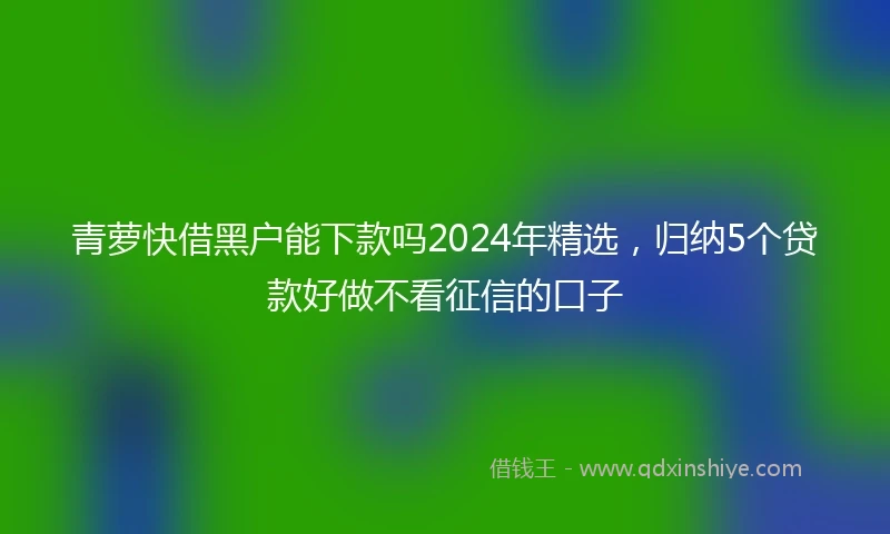 青萝快借黑户能下款吗2024年精选，归纳5个贷款好做不看征信的口子