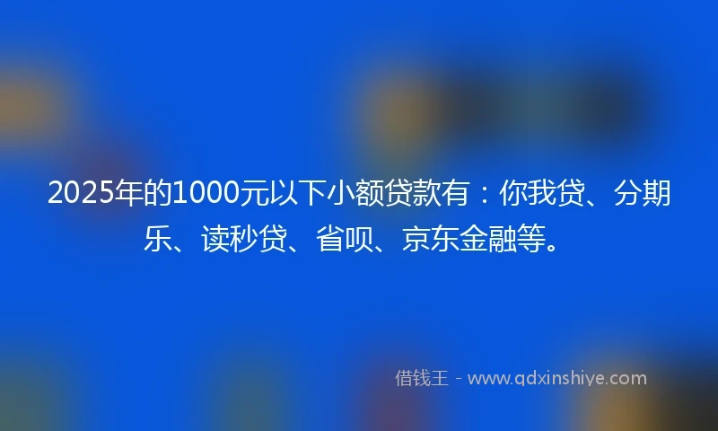 2025年的1000元以下小额贷款有：你我贷、分期乐、读秒贷、省呗、京东金融等。